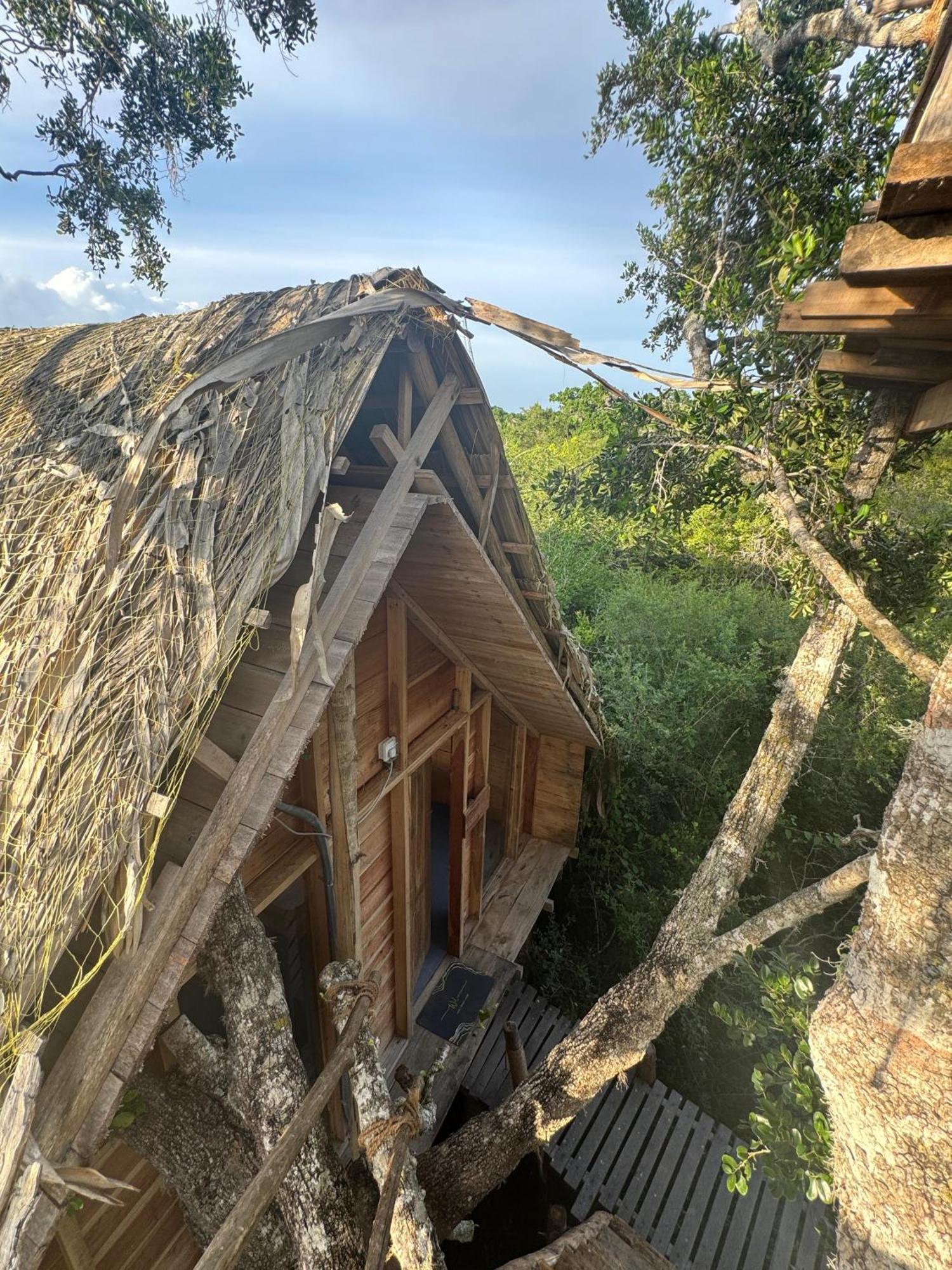 Hotel Mamba Yala Tissamaharama Zewnętrze zdjęcie
